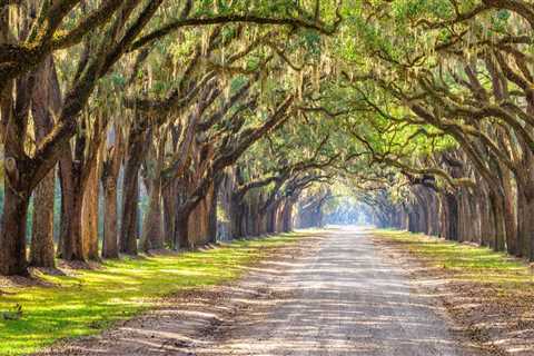 The Ultimate Guide to Planning Your Annual Holiday in Southeast SC