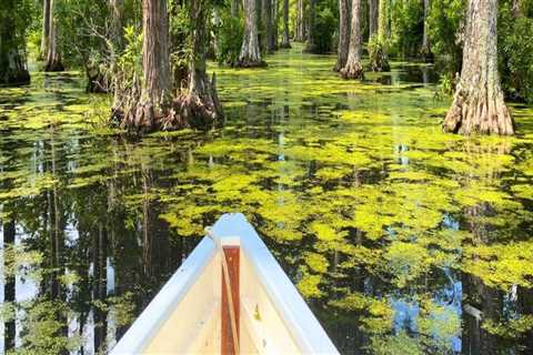 The Ultimate Guide to Day Trips and Excursions in Southeast SC