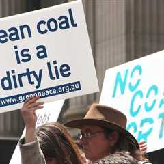 UN Climate Expert Urges Criminalization of Fossil Fuel Disinformation to Protect Basic Human Rights