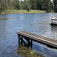 The Hidden Gems of Community Events in Lake County, Florida