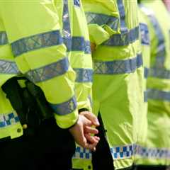 The Nuances of Foreign National Involvement in London's Sexual Offences