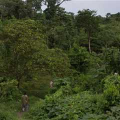 Solar-Powered Audio Devices Target Isolated Tribes in Brazil