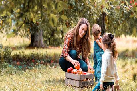 Discovering the Vibrant Cultural and Heritage Scene of Southwestern Michigan