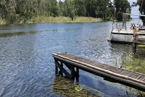 The Hidden Gems of Community Events in Lake County, Florida