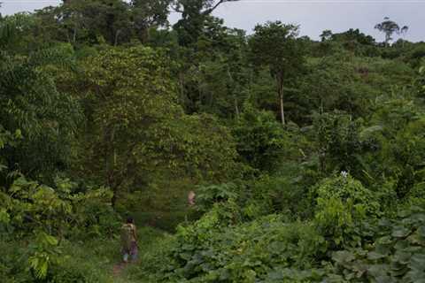 Solar-Powered Audio Devices Target Isolated Tribes in Brazil