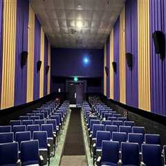 The Impact of Ticket Prices on Moviegoers in Pinellas County, Florida
