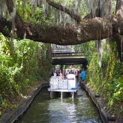 Uncovering the Vibrant Outdoor Community Events in Central Florida