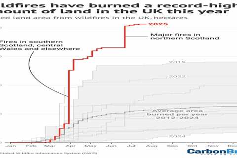 Analysis: Record UK wildfires have burned an area twice the size of Glasgow in 2025