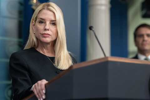 Corrupt Democrats Smear Michigan City With Election Fraud Scandals Including Individual Charged..