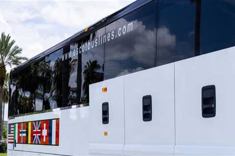 The Ultimate Guide to Reaching Theaters in Pinellas County, Florida Using Public Transportation