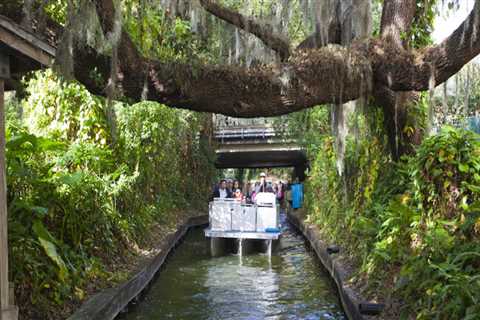 Uncovering the Vibrant Outdoor Community Events in Central Florida
