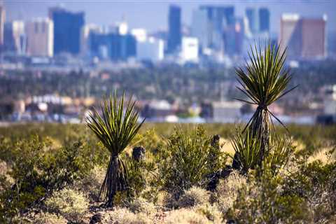Finding Balance: The Role of Politicians in Clark County, Nevada