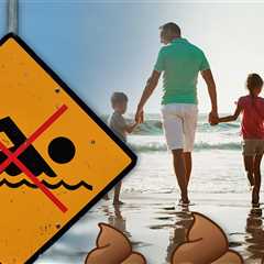 Fecal Contamination Disrupts Labor Day Beach Activities