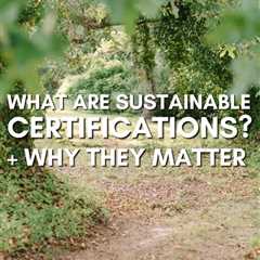 The Ultimate Guide to Sustainable Certifications: What Labels Like Fair Trade, GOTS & B Corp..