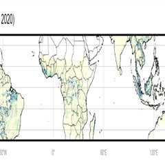 Warming due to tropical deforestation linked to 28,000 ‘excess’ deaths per year