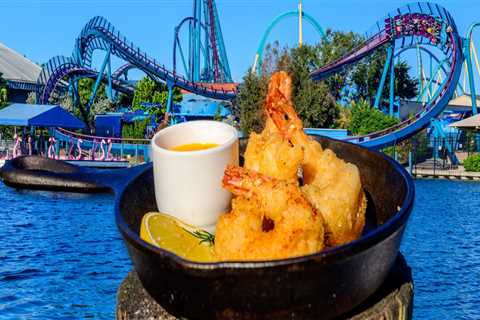The Ultimate Guide to Making the Most of Your Food Festival Experience in Orlando, Florida