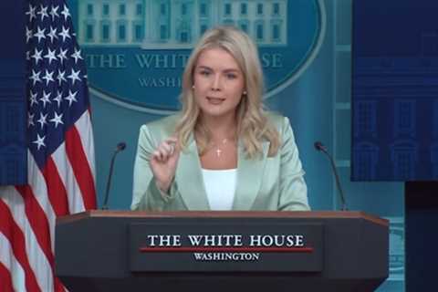 (VIDEO) Karoline Leavitt Shreds Democrat Mayors for Leading 19 of the 20 US Cities with Highest..