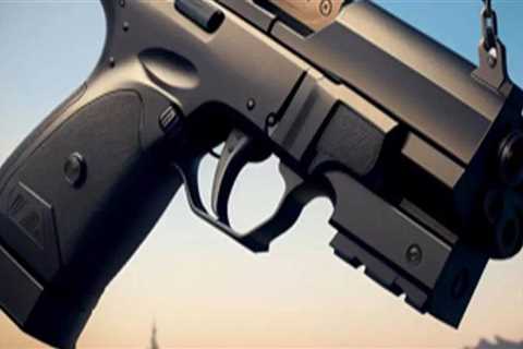 Navigating the Political Divide: Gun Control and Second Amendment Rights in Fayette County, Georgia
