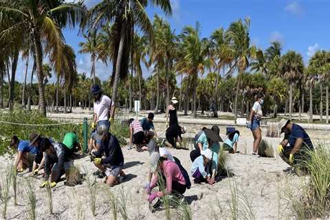 How Volunteer-Driven Events Keep Central Florida Communities Connected