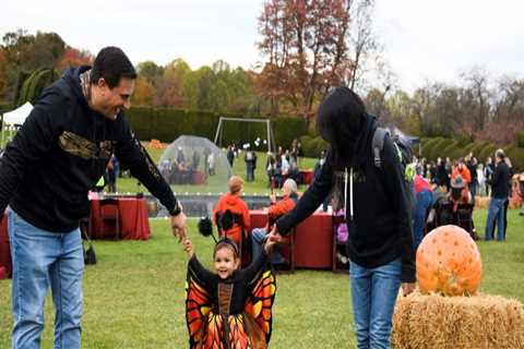 Get Involved in Planning Community Celebrations in Southern Maryland: A Guide from an Expert's..