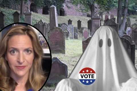 GUESS WHO’S NOT ABOVE THE LAW? MI SOS Benson In The Hot Seat After DOJ Sues Her For Blocking Access ..