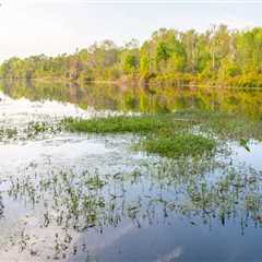 The Role of Political Programs in Addressing Environmental Concerns in Orange County, Florida