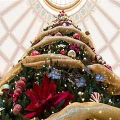 The Art of Celebrating in Hamilton County, Tennessee