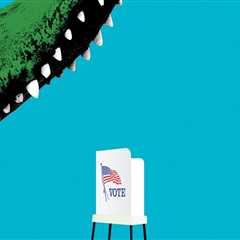 The Frequency of Elections for Public Officials in Bay County, Florida