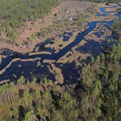 Navigating the Complex Political Landscape of Northwest Florida