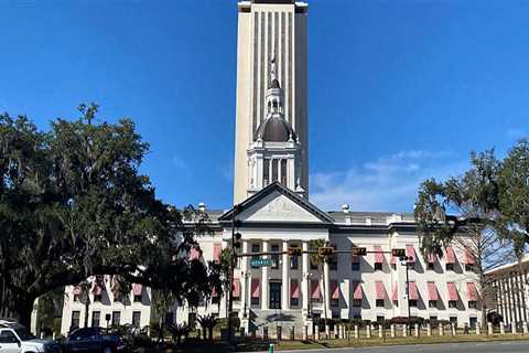 The Diverse Political Landscape of Central Florida
