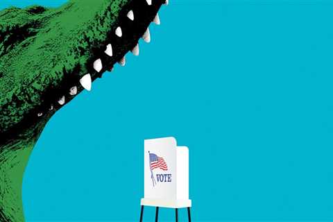 The Frequency of Elections for Public Officials in Bay County, Florida