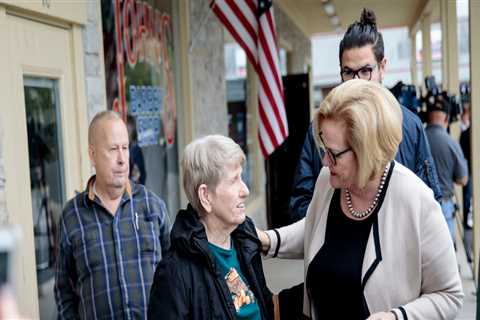 The Impact of Healthcare on Election Campaigns in Northeastern Illinois