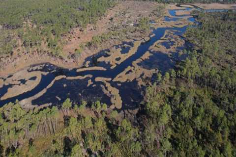 Navigating the Complex Political Landscape of Northwest Florida