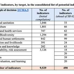 Q&A: COP30 could – finally – agree how to track the ‘global goal on adaptation’