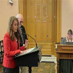 The Impact of Local Media Outlets on Election Campaigns in Northeast Ohio: An Expert's Perspective