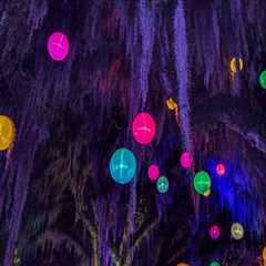 The Vibrant Music Scene in Southeast SC