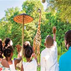 The Vibrant Music Festival Scene in Southeast SC