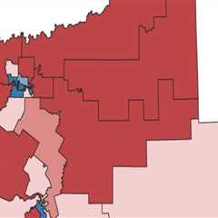 The Changing Landscape of Candidate Campaigns in Southeast Texas
