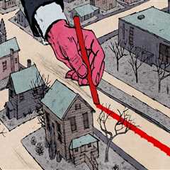 The Power of Traditional Media in Political Campaigns in Northeastern Illinois