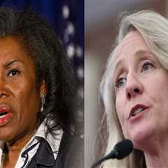 The Impact of Negative Campaigning on Democratic Campaigns in Northern Virginia: An Expert's..