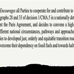 COP30: Key outcomes for food, forests, land and nature at the UN climate talks in Belém