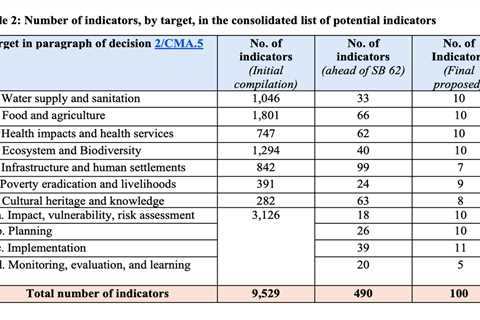 Q&A: COP30 could – finally – agree how to track the ‘global goal on adaptation’