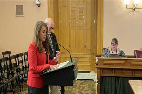 The Impact of Local Media Outlets on Election Campaigns in Northeast Ohio: An Expert's Perspective