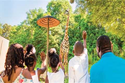 The Vibrant Music Festival Scene in Southeast SC