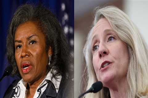 The Impact of Negative Campaigning on Democratic Campaigns in Northern Virginia: An Expert's..