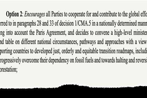 COP30: Key outcomes for food, forests, land and nature at the UN climate talks in Belém