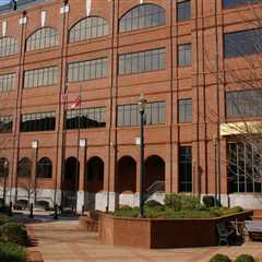 The Ins and Outs of Electing City Officials in Gainesville, Georgia