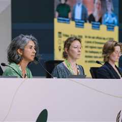 From Brazil, with love