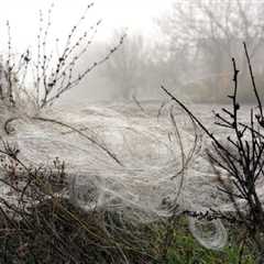 Fiber Optic Drones That Can’t Be Jammed Are Leaving Webs of Wires Everywhere in Ukraine’s..