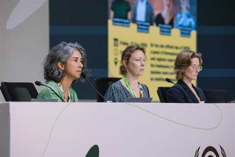 From Brazil, with love